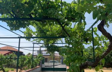 Casa dei Gigli relax and vacation among flowers and fruits - Foto 10