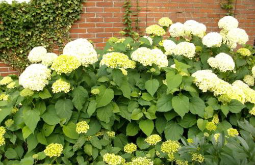 B&B Annabelle - Foto 15