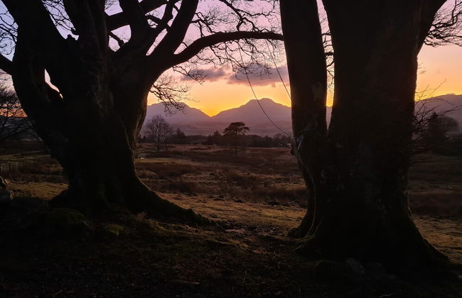 Rhiw Goch Inn Holiday Home - Photo 8