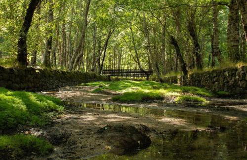 Dona Irene AL - Foto 43