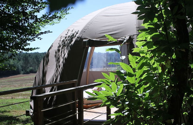 Ô bois dormant - Foto 46