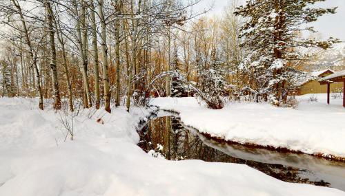 1123 Indian Paintbrush - Foto 4