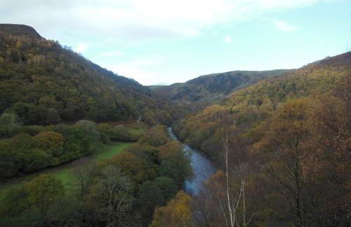 Pwllgwilym B & B - Foto 44