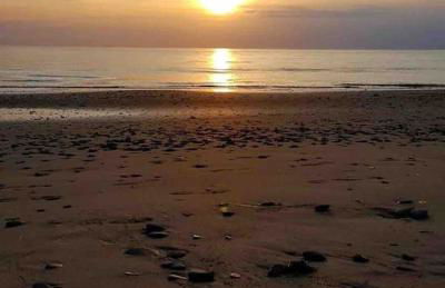 Cottage in the Countryside Near New Quay West Wales - Photo 29