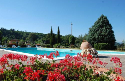 Fattoria Antognoni - Foto 1