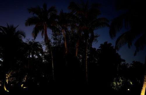 Island Paradise Awaits You - Foto 7