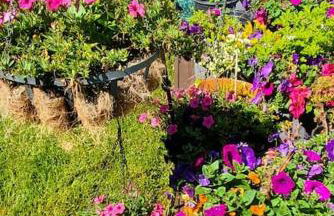 Luxury DT Cottage - Free Parking - Self Check-In - Foto 13