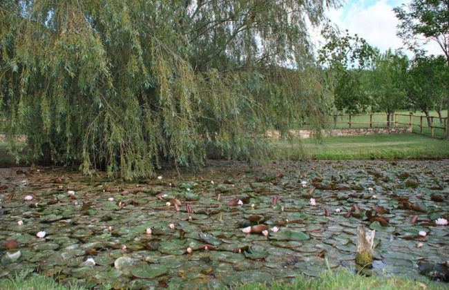 Golden Days in San Donato Home - Foto 29