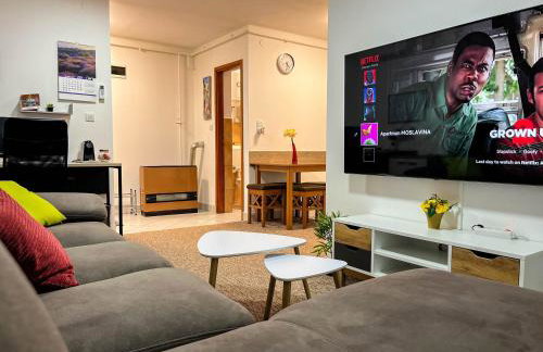 Apartmani MOSLAVINA i parking - Foto 29