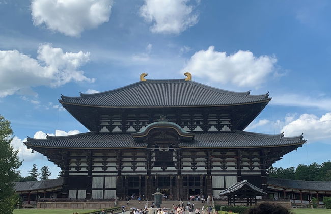 Traditional Guesthouse TONARI - Foto 27