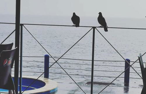 Morena house - Foto 18