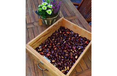 Ferieheisel - Everything, Except Usually! - Foto 69