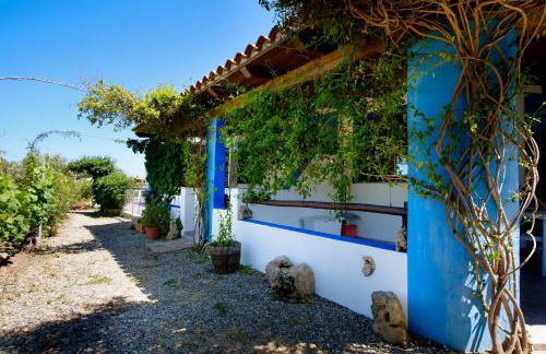 Casa Museddu - Foto 41