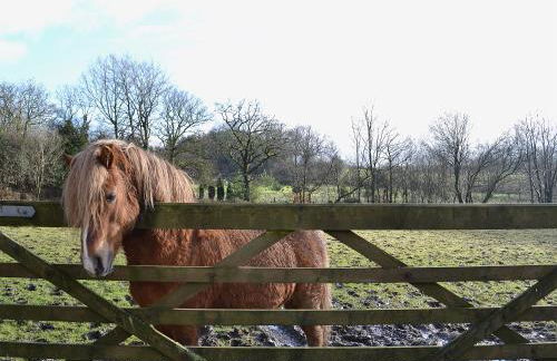 Ty Newydd Cottage - Photo 9