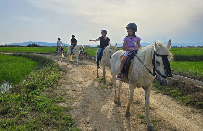 Paseo a caballo por el Delta del Ebro - Foto 9