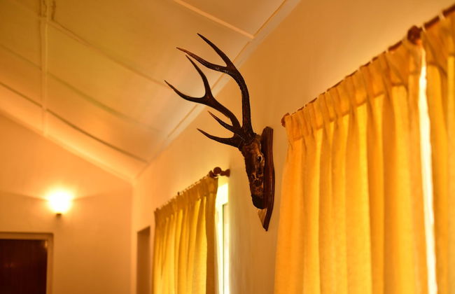 Niraamaya Private Home Stay Chikmagalur - Foto 43