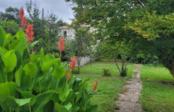 Le Cerf au Bois Dormant - Foto 8