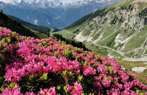 Appartement Orelle Val-Thorens avec SPA - Foto 9