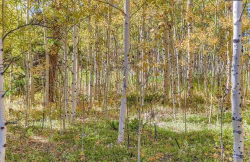 RollinsVilla home - Foto 34