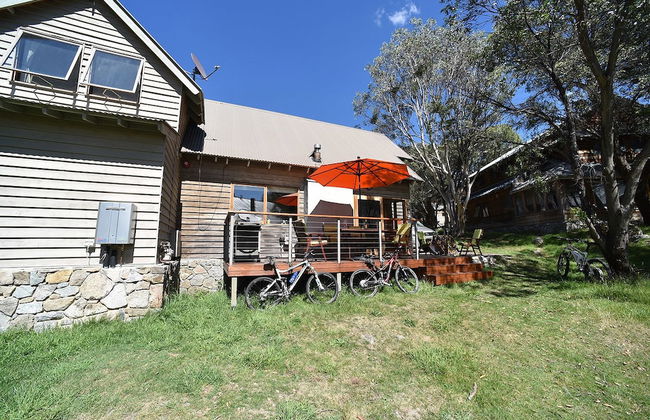 Bollygums - Photo 19