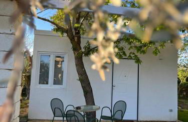 Agriturismo Tenuta la Monaca - Foto 13