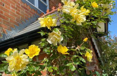 Little Woodside a beautiful New Forest self contained private luxury annexe - Foto 52