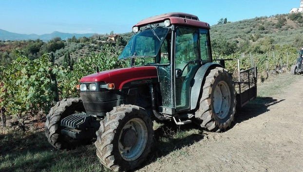 Fattoria di Fubbiano - Foto 2, Imagen principal