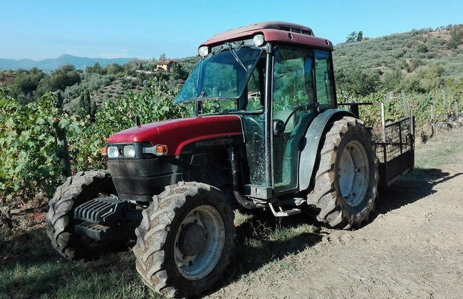 Fattoria di Fubbiano - Photo 1