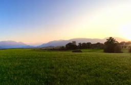 Ferienwohnungen Daserhaus Holiday Apartments - Foto 21