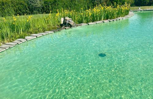 Agriturismo Villa Adimari - Foto 65