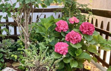 Aegean Sunset - Foto 15