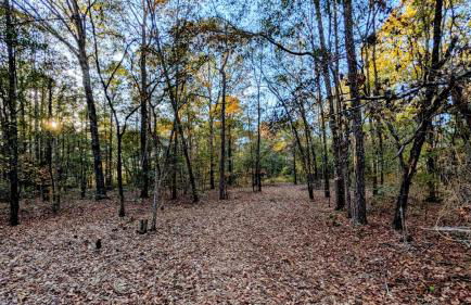 Sweet Salem Hideaway - Foto 29