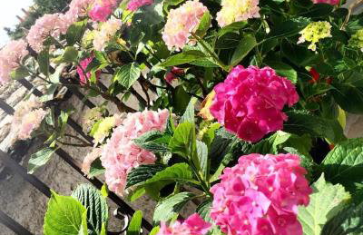 Sweet Home Kerasias - Foto 20