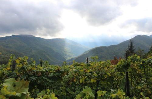 Casa Bel Tempo - Photo 16