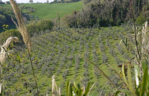 Cara Pace in collina per gruppi - Foto 10