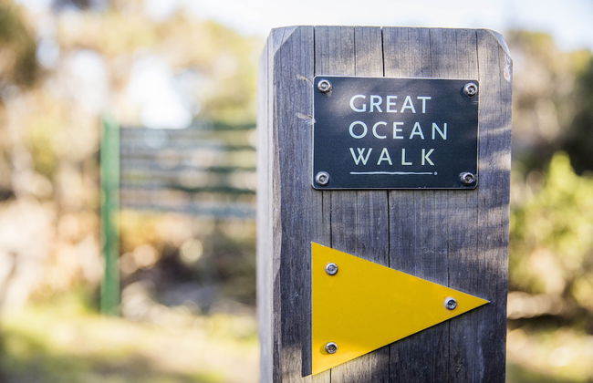 Alkina Lodge - Foto 31