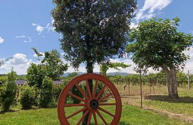 L'Antico Fienile - Foto 7