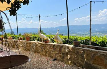 Agriturismo I Millepini - Foto 37