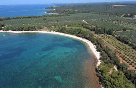 Apartmani Lisicak - Photo 16