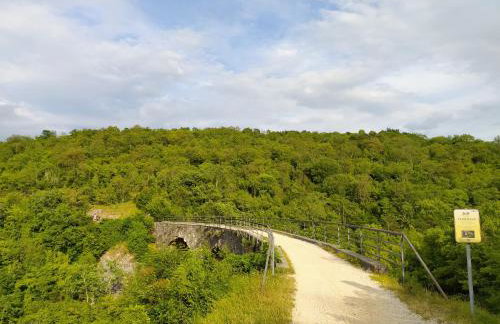 Apartment PARENZANA, little row HOUSE with big green yard in central Istria - Foto 51