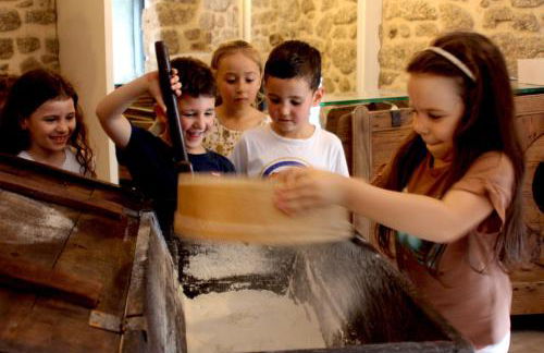 Moinhos Carvalhas - Foto 22