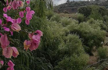 la fontana - Foto 25