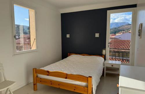 Charmant T3 pour 6 pers. avec parking à Banyuls-Sur-Mer - FR-1-309-518 - Foto 18