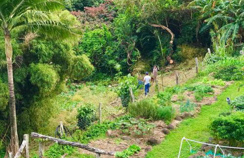 Maui Eco Retreat - Foto 23