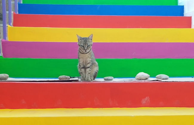 Ertem Apart - Photo 61