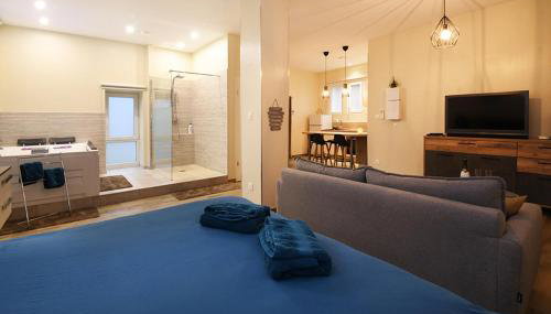 Appartement Loft Detente - Foto 1, Shower