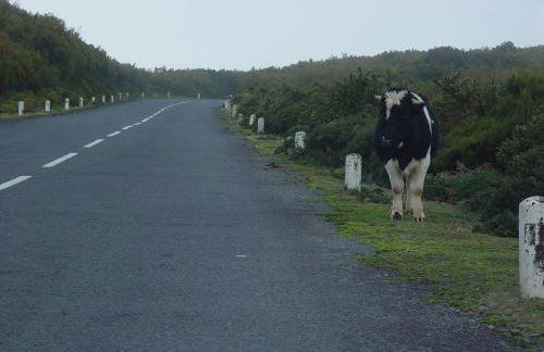 A charming spot - Foto 15