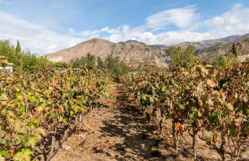 Slow House sa mayma - Foto 16