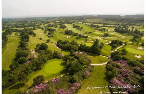 The Dorset Resort - Photo 154