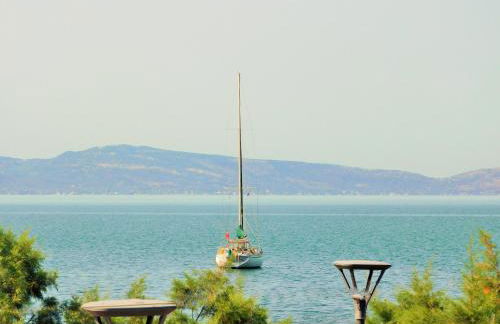 Arisvi All Seasons Hotel - Foto 12